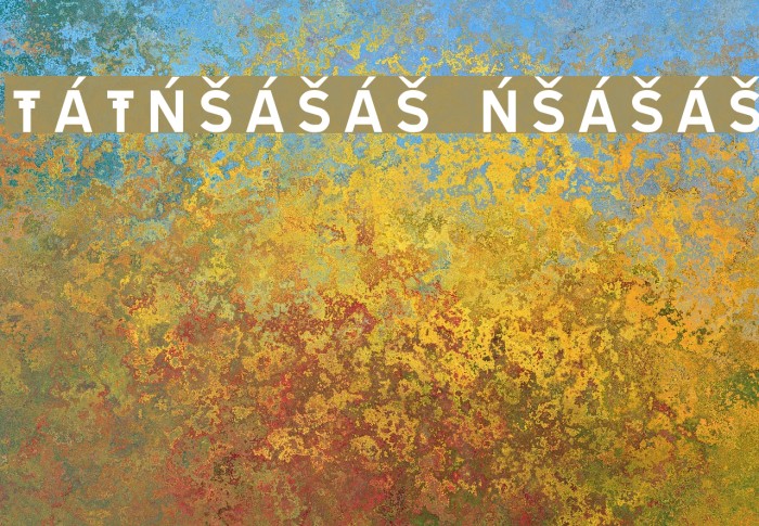 TRATEXNEGVERSALSAMISK NEGVERSALSAMISK Шрифта examples