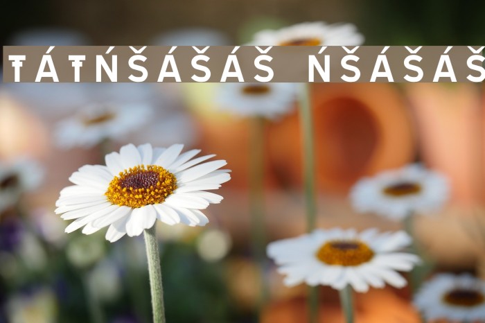 TRATEXNEGVERSALSAMISK NEGVERSALSAMISK Шрифта examples