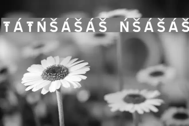 TRATEXNEGVERSALSAMISK NEGVERSALSAMISK Font examples