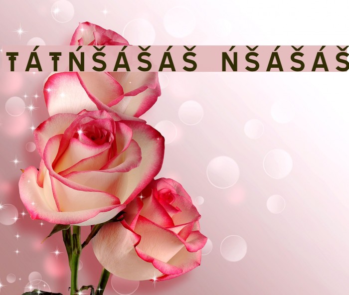TRATEXNEGVERSALSAMISK NEGVERSALSAMISK Шрифта examples