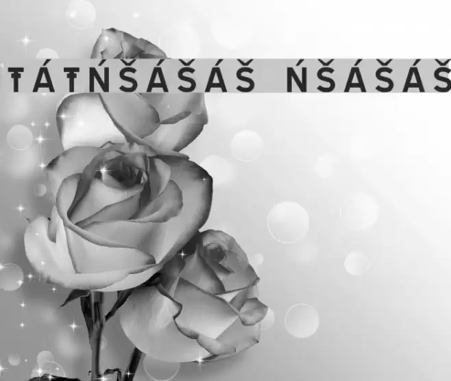 TRATEXNEGVERSALSAMISK NEGVERSALSAMISK Font examples