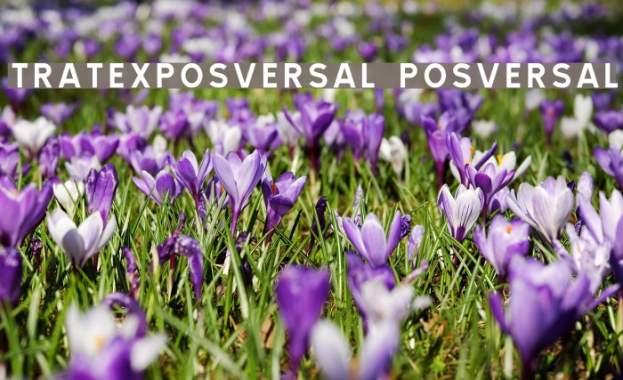 TRATEXPOSVERSAL POSVERSAL Font examples