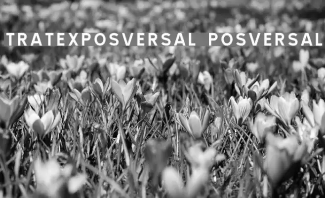 TRATEXPOSVERSAL POSVERSAL Font examples