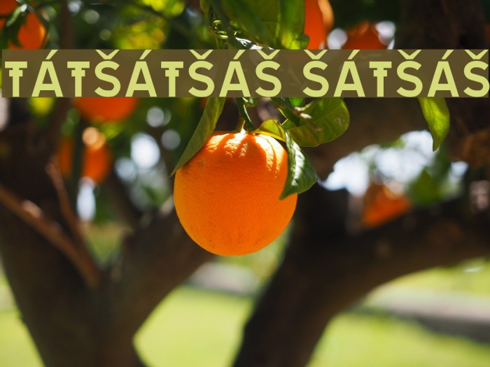 TRATEXSVARTSAMISK SVARTSAMISK Font examples