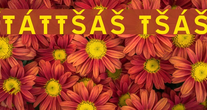 TRATEXVITSAMISK VITSAMISK フォント examples