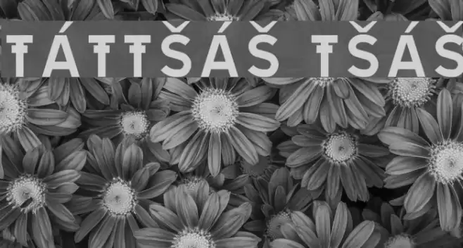 TRATEXVITSAMISK VITSAMISK Font examples
