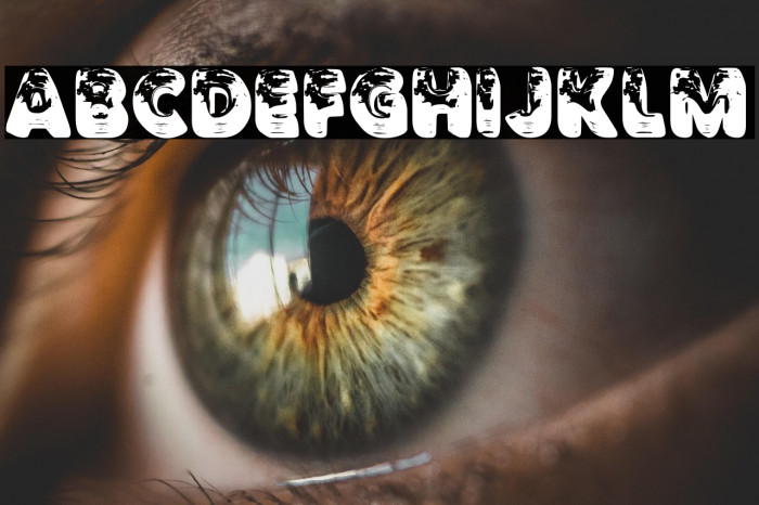 TRAVELIGHTPERSONALUSE-Bold Example 1