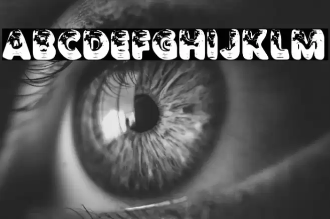 TRAVELIGHTPERSONALUSE-Bold Шрифта examples