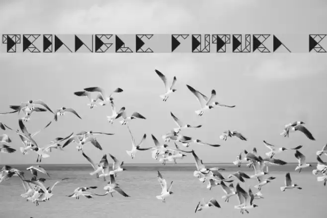 TRIANGLE FUTURA Regular Font examples