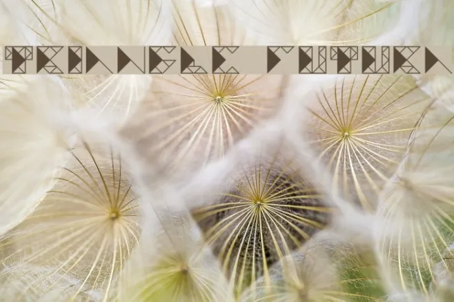 TRIANGLE FUTURA Example 2