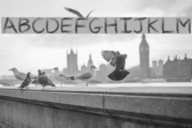 TRIBE FONT Regular Font examples