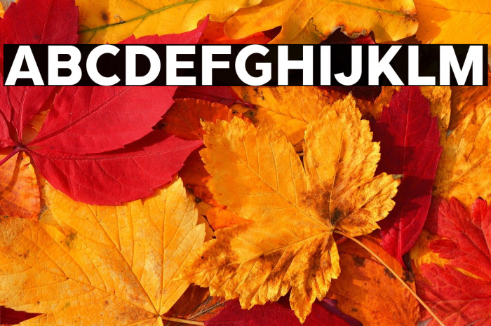 TRIPLETAExtraBold Example 1