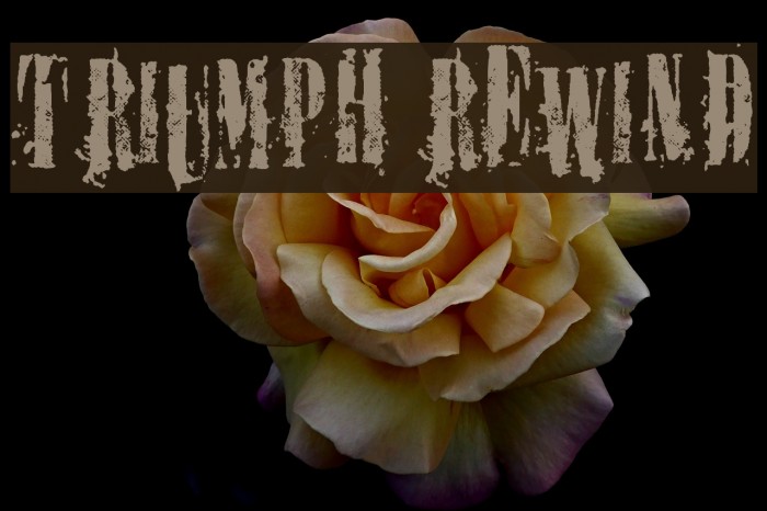 TRIUMPH REWIND Font examples