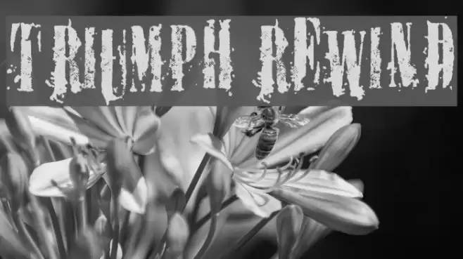 TRIUMPH REWIND Font examples