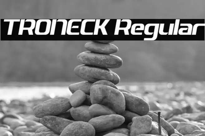 TRONECK Regular Fonte examples