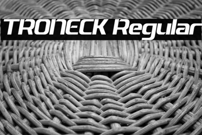 TRONECK Regular Fonte examples