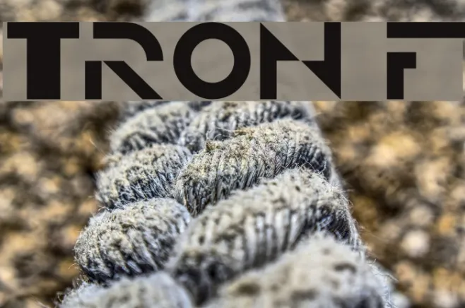TRON Example 2