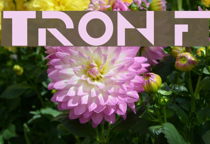 TRON Font examples