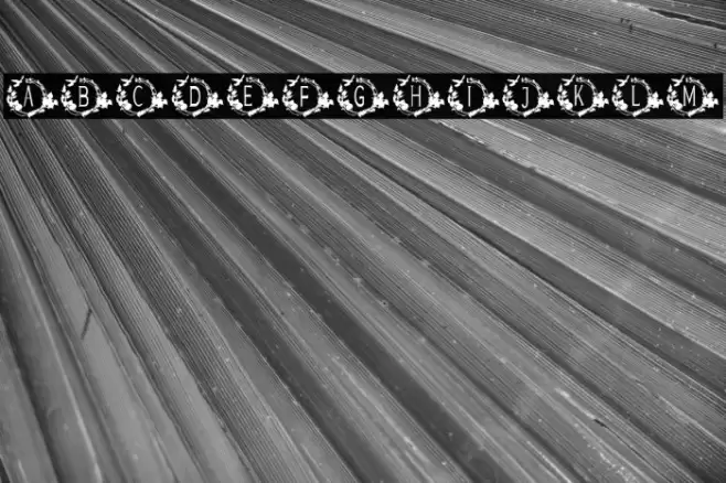 TROPICAL MONOGRAM Font examples