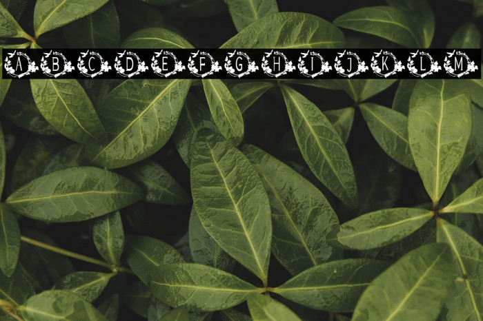 TROPICAL MONOGRAM Example 3