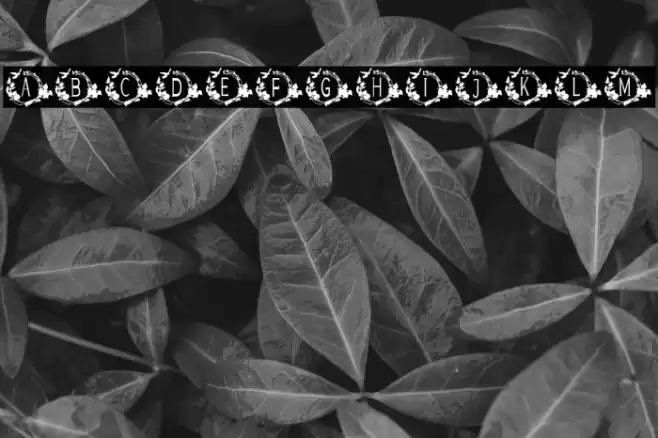 TROPICAL MONOGRAM Font examples