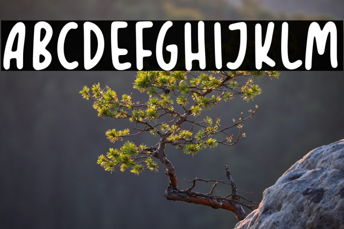 TROPICAL ORANGE Example 1