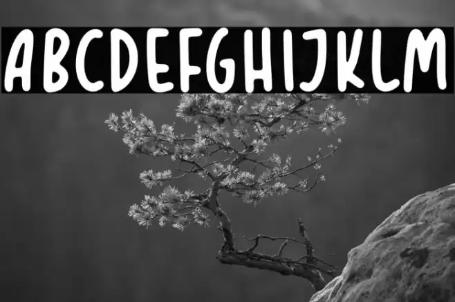 TROPICAL ORANGE Font examples