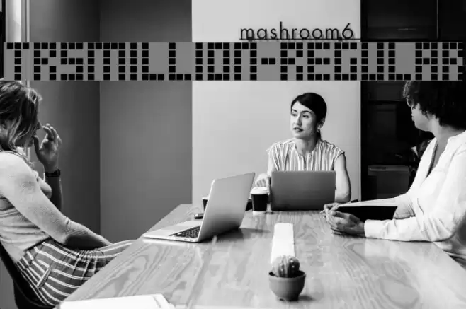 TRSMillion-Regular Font examples