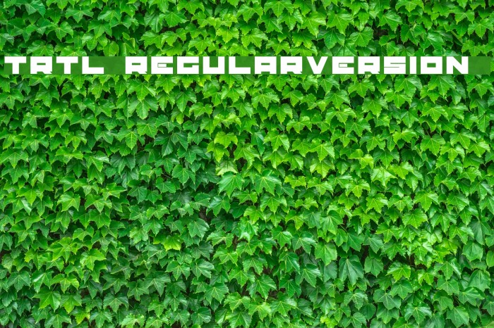 TRTL Regular:Version 1.00 Font examples