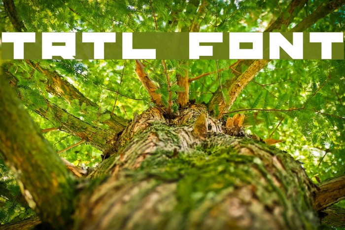TRTL Font examples