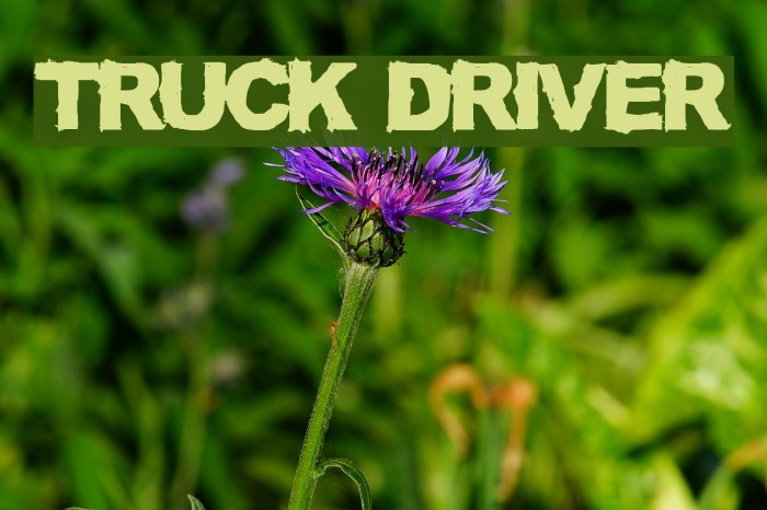 TRUCK DRIVER Font examples