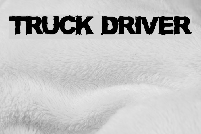 TRUCK DRIVER Font examples