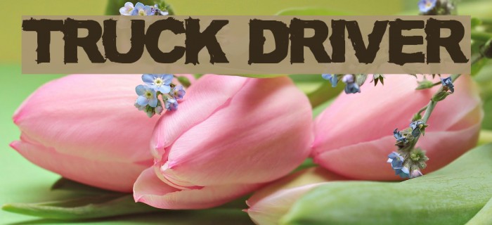 TRUCK DRIVER Font examples