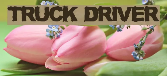 TRUCK DRIVER Example 3