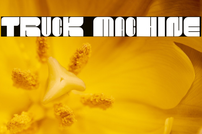 TRUCK MACHINE Example 3