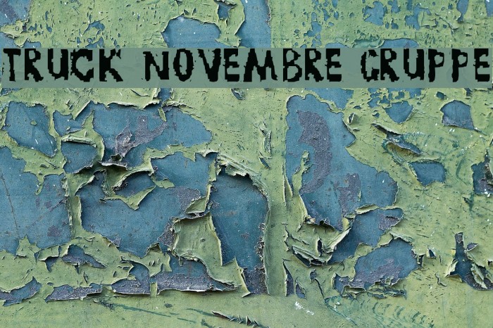 TRUCK NOVEMBRE GRUPPE Example 1