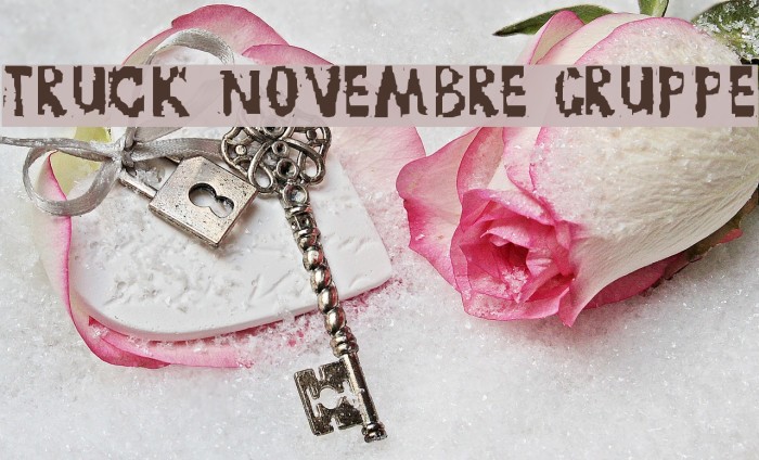 TRUCK NOVEMBRE GRUPPE Example 2