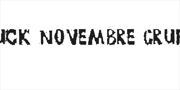 TRUCK NOVEMBRE GRUPPE Logo