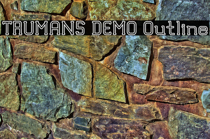 TRUMANS DEMO Outline Example 1