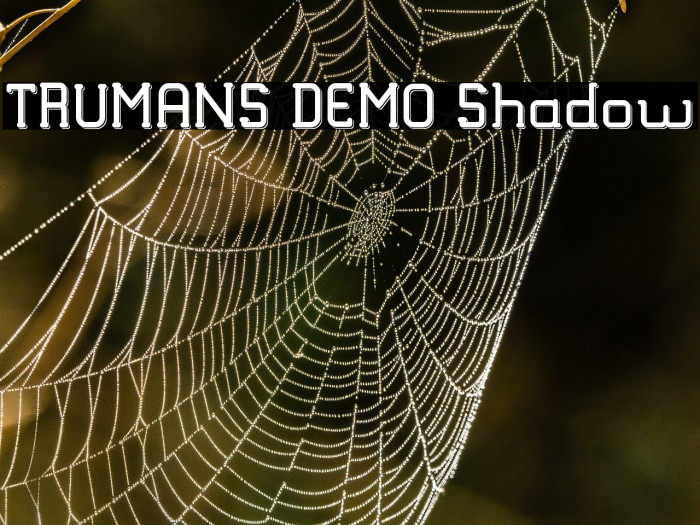 TRUMANS DEMO Shadow Example 2