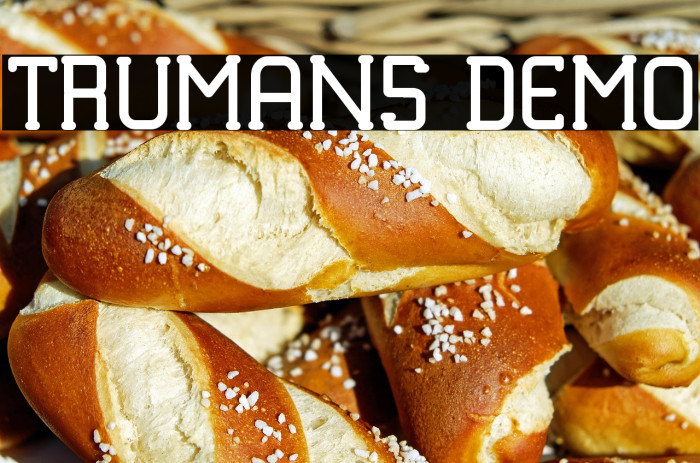 TRUMANS DEMO Example 1