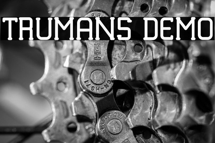 TRUMANS DEMO Example 2