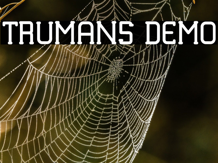 TRUMANS DEMO Example 3