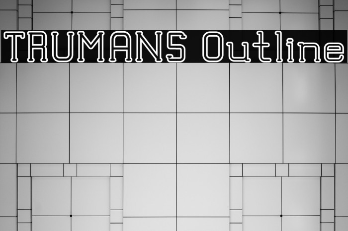 TRUMANS Outline Example 1