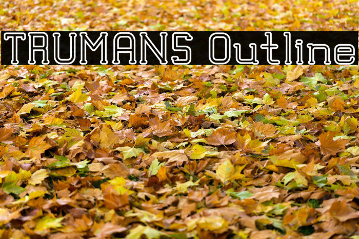 TRUMANS Outline Example 3