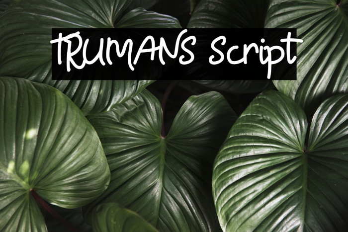 TRUMANS Script Font examples