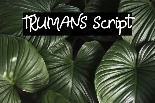 TRUMANS Script Example 2