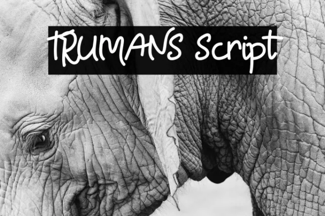 TRUMANS Script Example 3