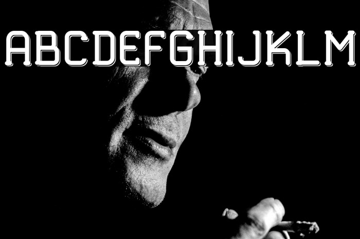 TRUMANS Shadow Example 1