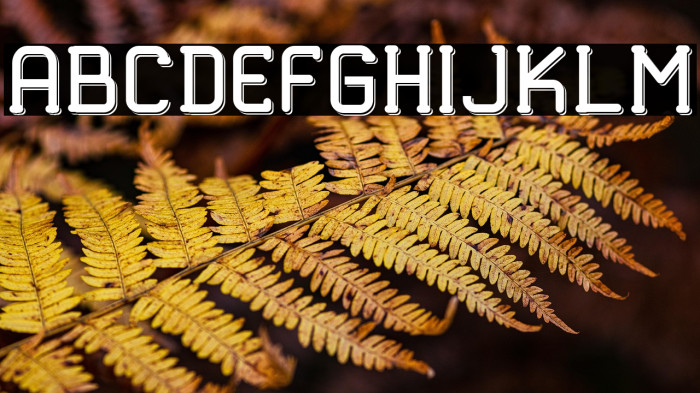 TRUMANS Shadow Example 2